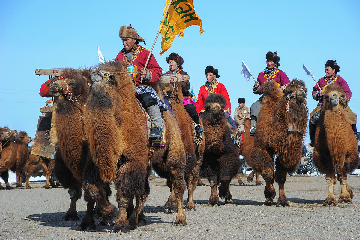 La Festa dei Cammelli